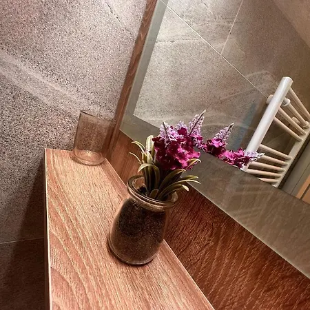 Apartment Old City Centar Koturova Free Parking Sarajevo